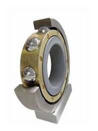 Electrically Insulated Bearings 1