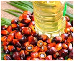 Palm Kernel Oil for transformers 2
