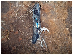 detecting underground cable faults