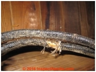 electrical installations damaged cable